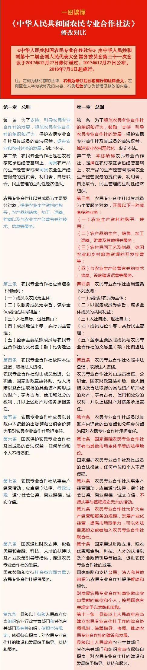合作社最新政策揭秘，巷弄中的隐藏宝藏大探秘