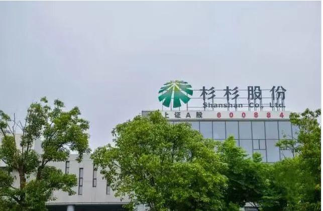 杉杉股份科技革新引领未来生活潮流新动态