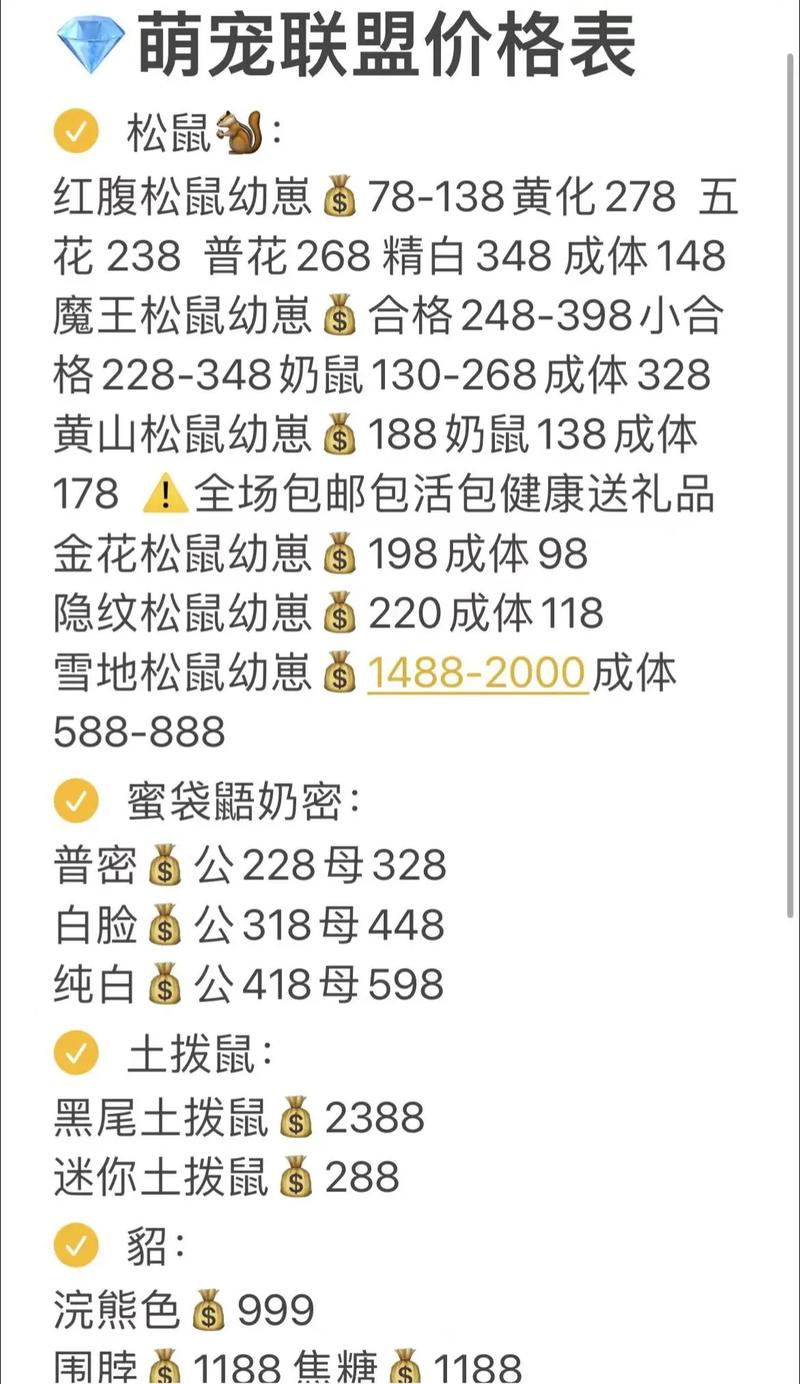 貂最新价格，小巷中的时尚秘密宝藏