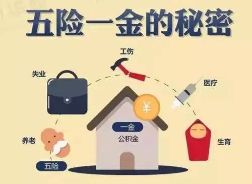 时代背景下的社会保障新篇章，最新五险解析