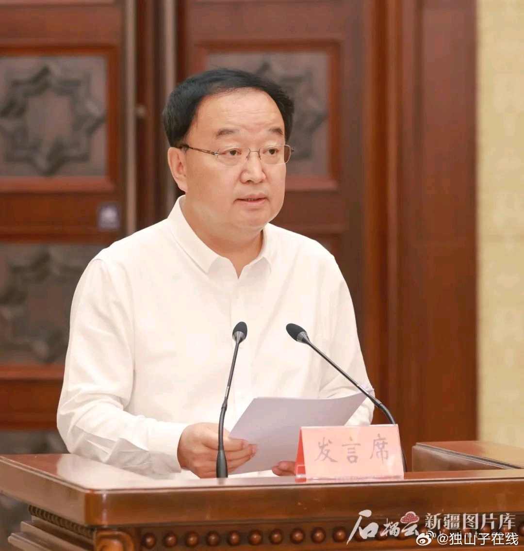 新疆林业厅厅长上任指南，学习与任务完成步骤详解