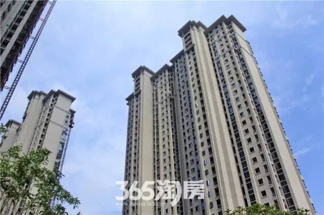 芜湖三山区最新房价探索之旅，自然美景与房价的双重关注