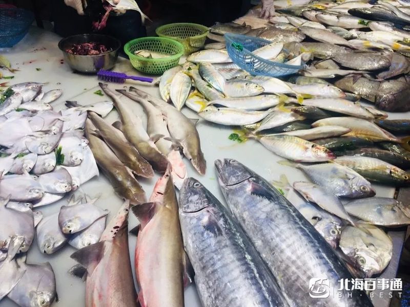 北海海鲜最新行情与探索自然美景之旅，寻找内心平静之旅