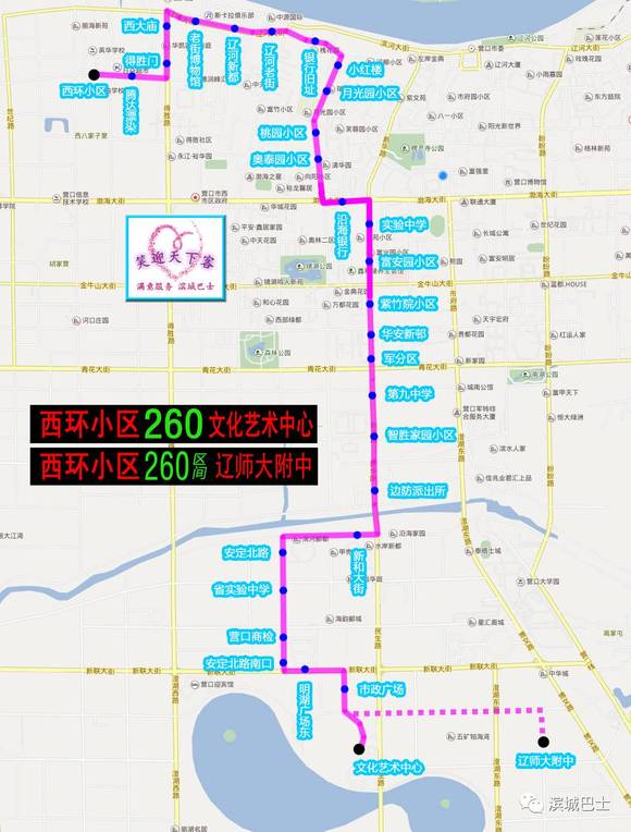 营口贴吧最新消息详解，步骤指南与动态更新