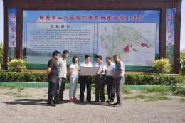 太谷一线最新新闻报道汇总